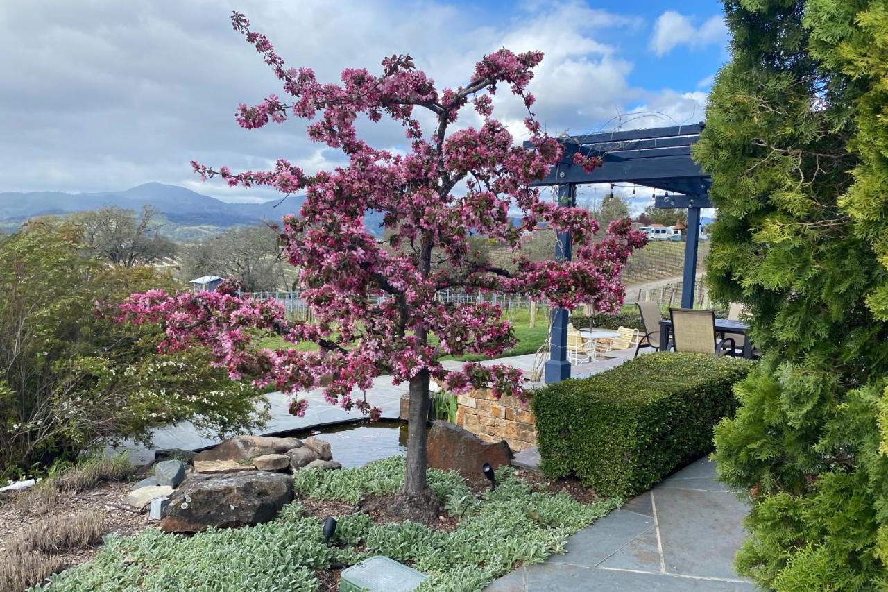 Alexander Valley Retreat Healdsburg Exterior foto